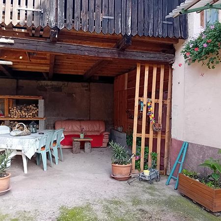 Appartement Spacieux Dans Joli Village Alsacien Châtenois エクステリア 写真