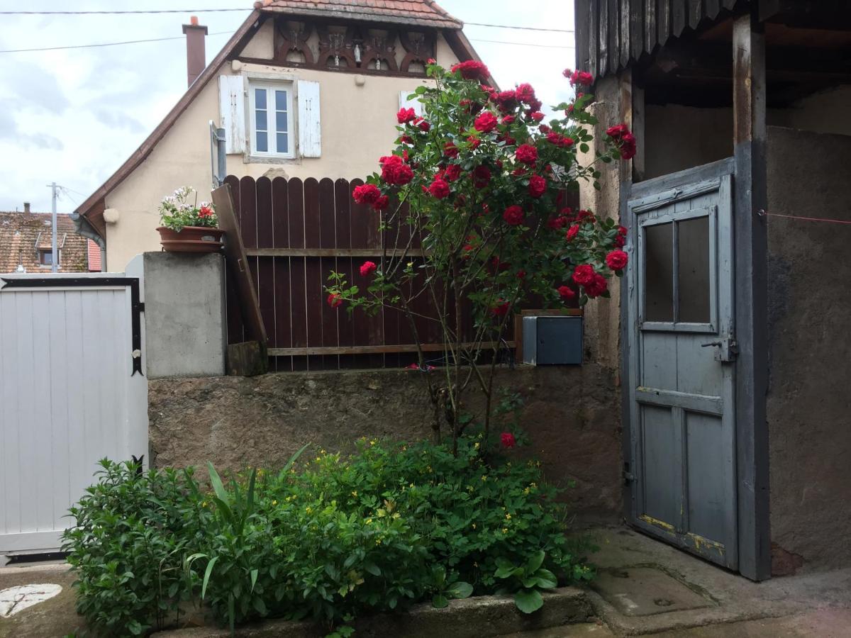Appartement Spacieux Dans Joli Village Alsacien Châtenois エクステリア 写真