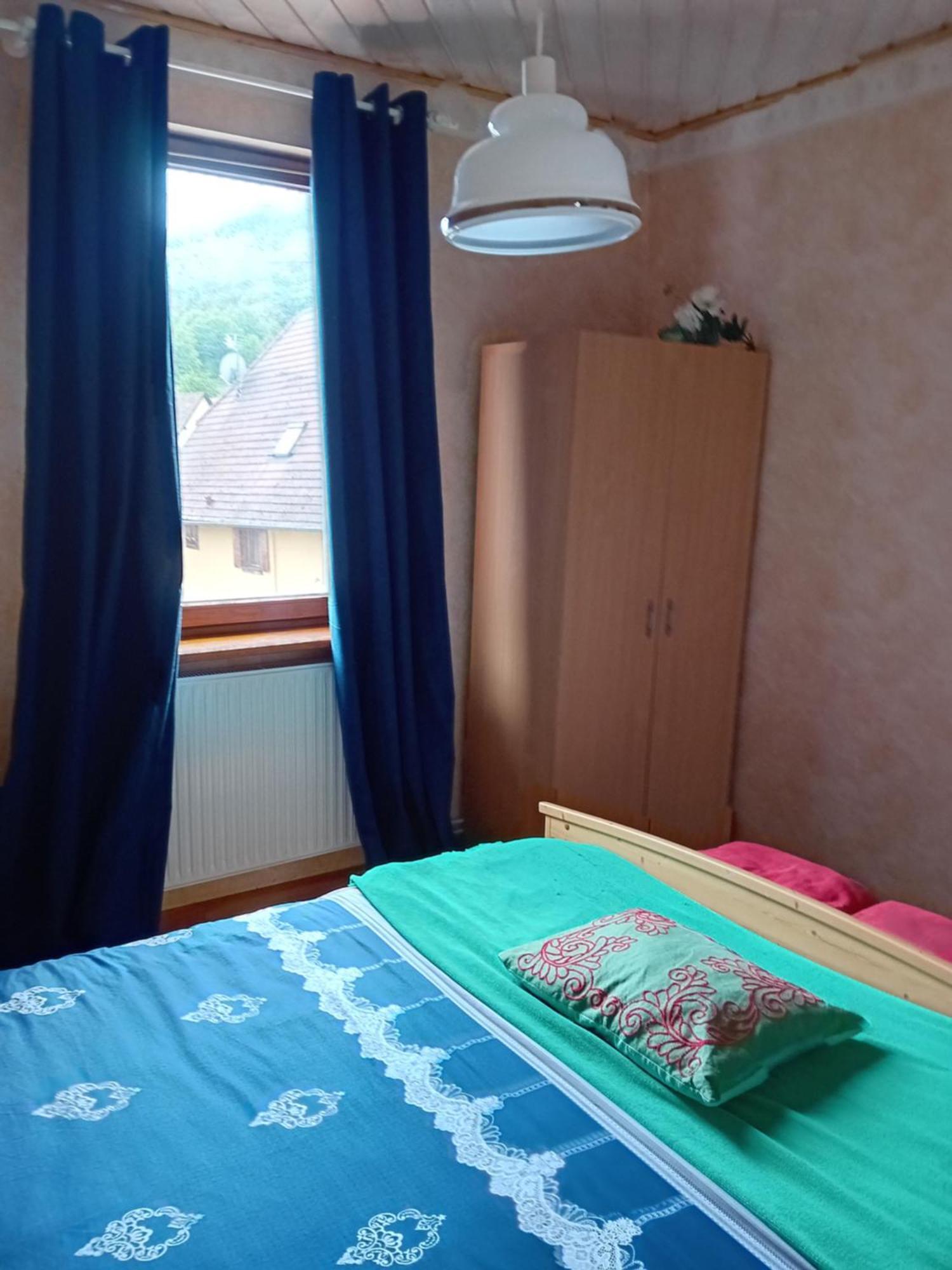 Appartement Spacieux Dans Joli Village Alsacien Châtenois エクステリア 写真