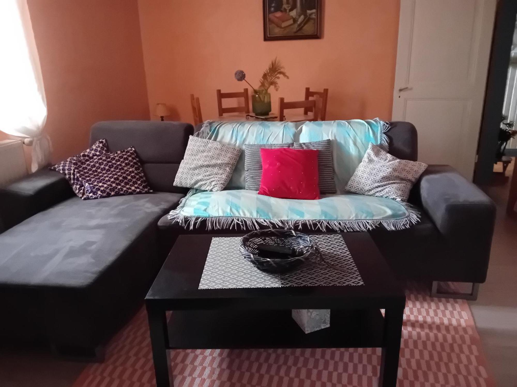 Appartement Spacieux Dans Joli Village Alsacien Châtenois エクステリア 写真