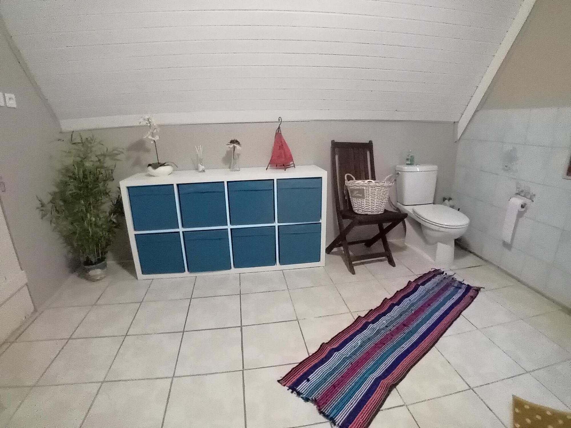 Appartement Spacieux Dans Joli Village Alsacien Châtenois エクステリア 写真