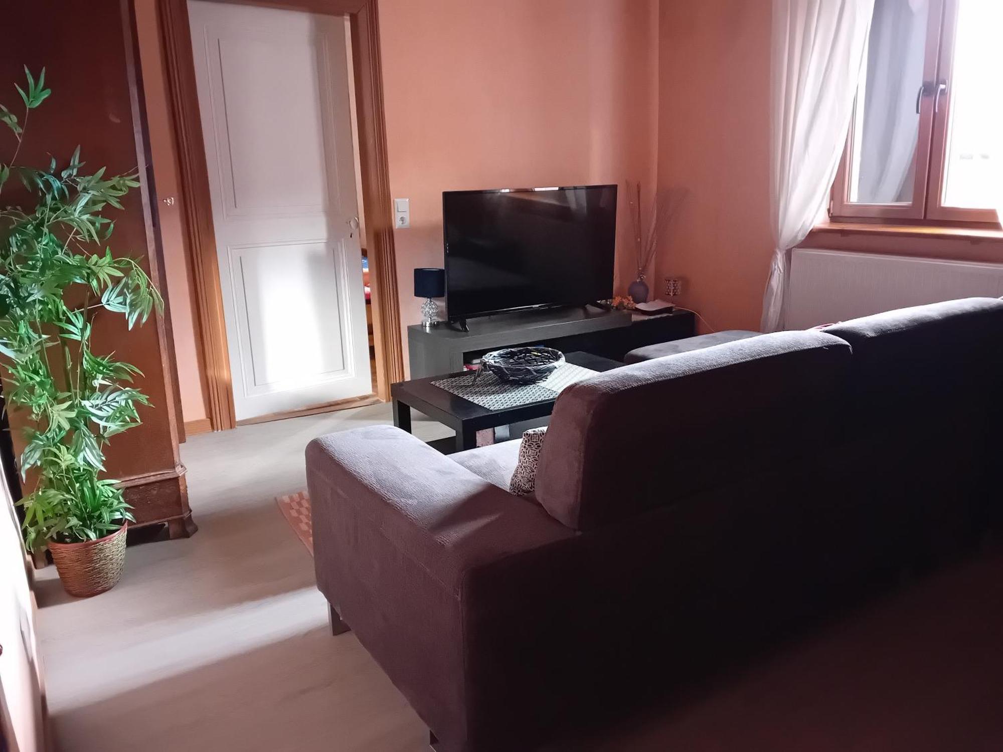 Appartement Spacieux Dans Joli Village Alsacien Châtenois エクステリア 写真