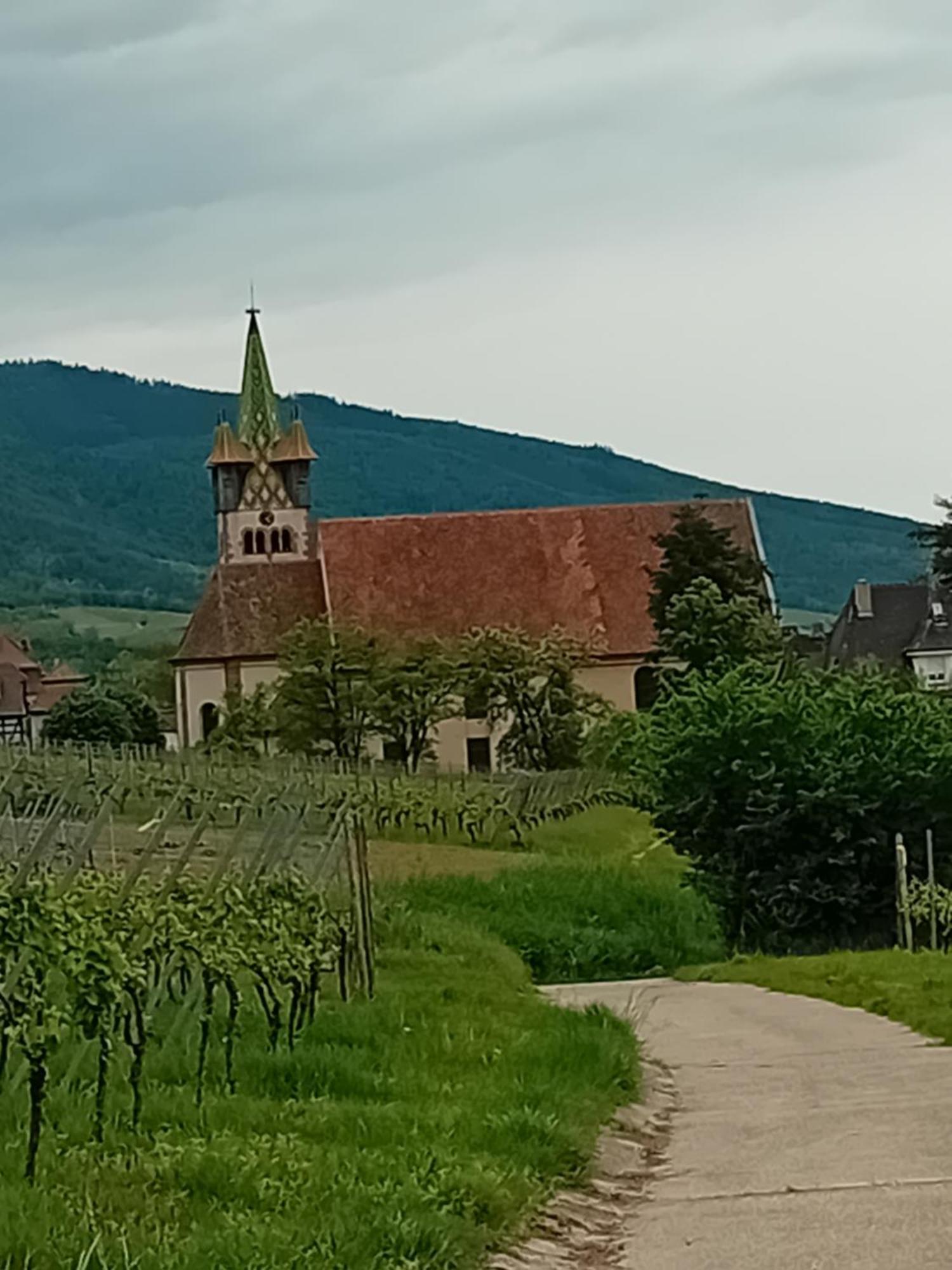 Appartement Spacieux Dans Joli Village Alsacien Châtenois エクステリア 写真