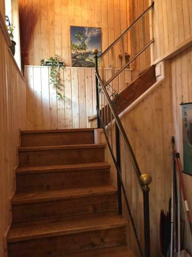 Appartement Spacieux Dans Joli Village Alsacien Châtenois エクステリア 写真