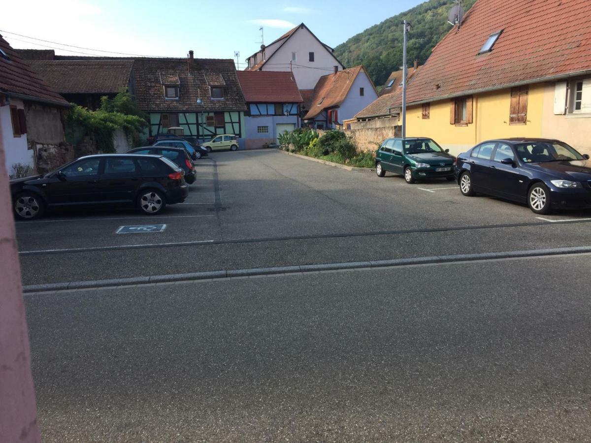 Appartement Spacieux Dans Joli Village Alsacien Châtenois エクステリア 写真